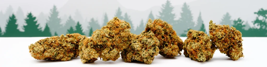 Buy Weed Online Europe