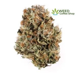 Blue Cheese