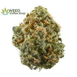 Blue Dream