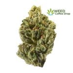 Bruce Banner #3 Weed