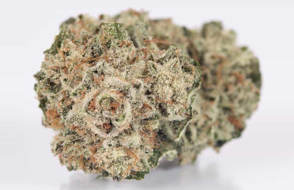 Gorilla Glue 4 weed
