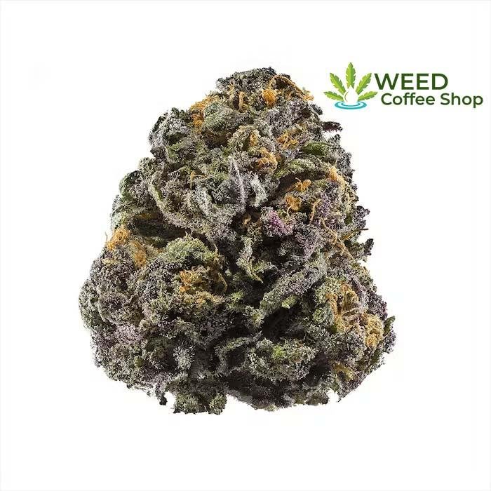 Granddaddy Purple