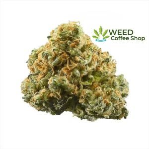 Pineapple Express
