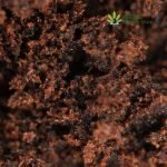 Red Lebanese Hash