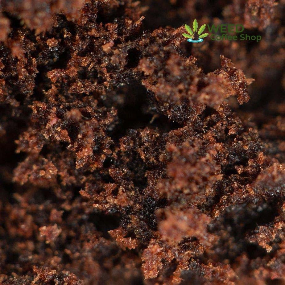Red Lebanese Hash