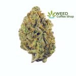 Super Lemon Haze