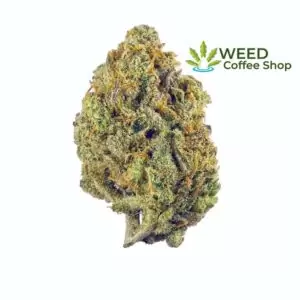 Super Lemon Haze