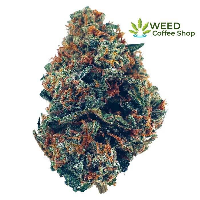 Zkittlez