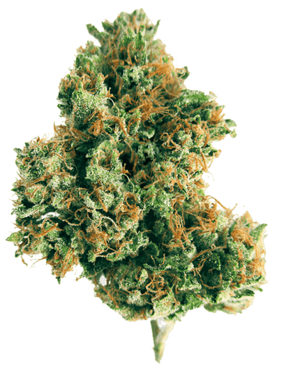 Buy Weed Online Europe