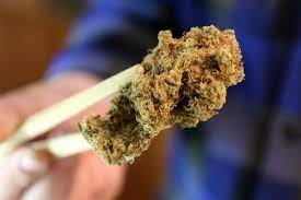 Coffee shop weed