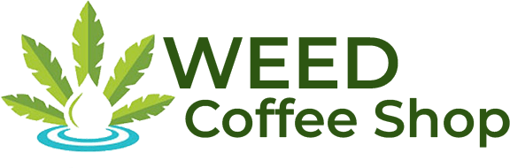 Weed Coffeeshop Europe