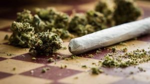 marihuana kannabis
