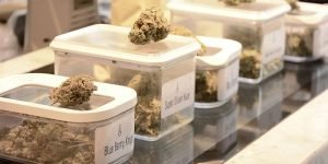 Buy Weed Online Netherlands