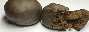1 grammo di hashish