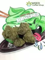 Wasabi or Wazabi Strain