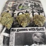 backpackboyz gotti