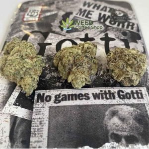 backpackboyz gotti