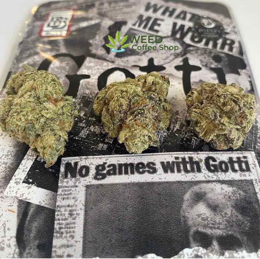 backpackboyz gotti