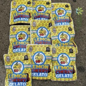 Lemon Cherry Gelato Backpackboyz