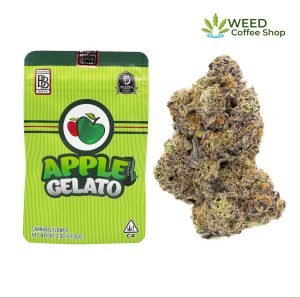 apple gelato backpackboyz