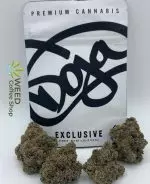 Doja Exclusive Karmas Headstash
