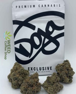 Doja Exclusive Karmas Headstash