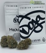 Doja Exclusive Mochi