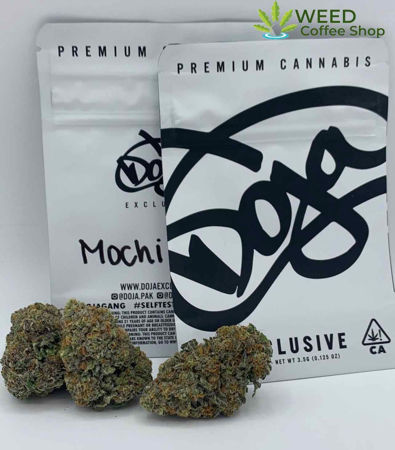 Doja Exclusive Mochi