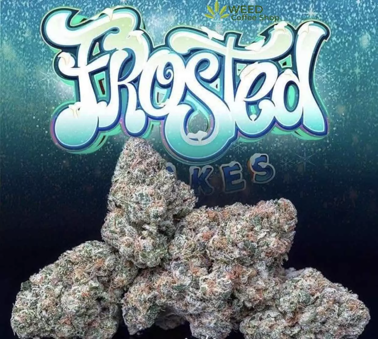 Frosted Cakes Jungleboys