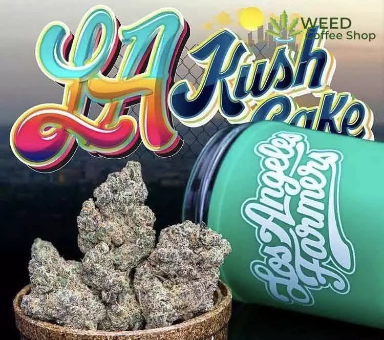 LA Kush Cake Jungleboys