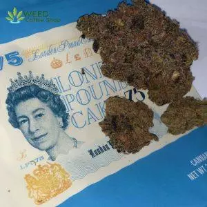 London Pound Cake Cookies