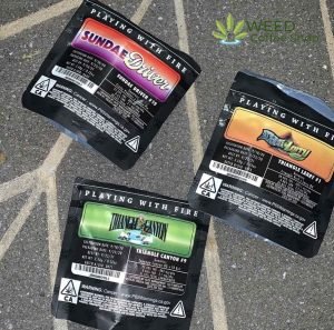 Sunday Driver Jungleboys