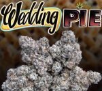 Wedding Pie Jungleboys
