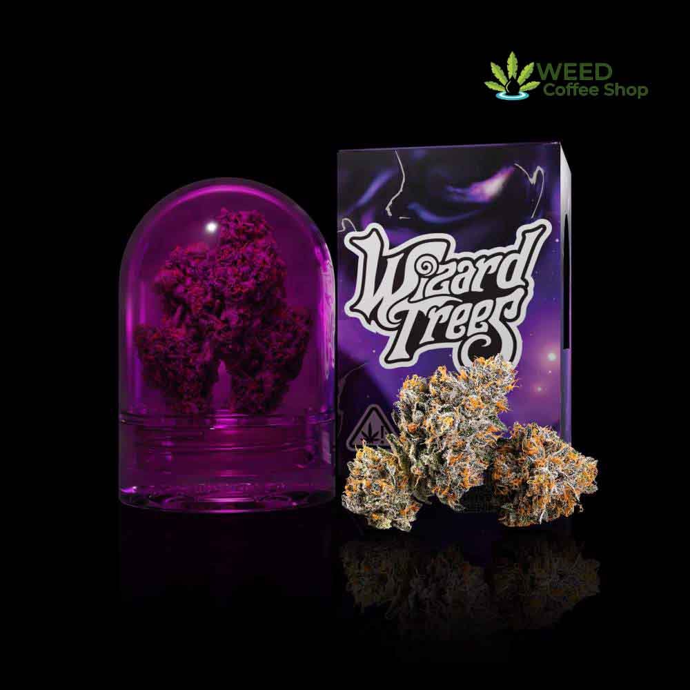 cream wizard trees