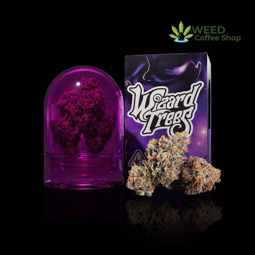 wizard trees the keeper